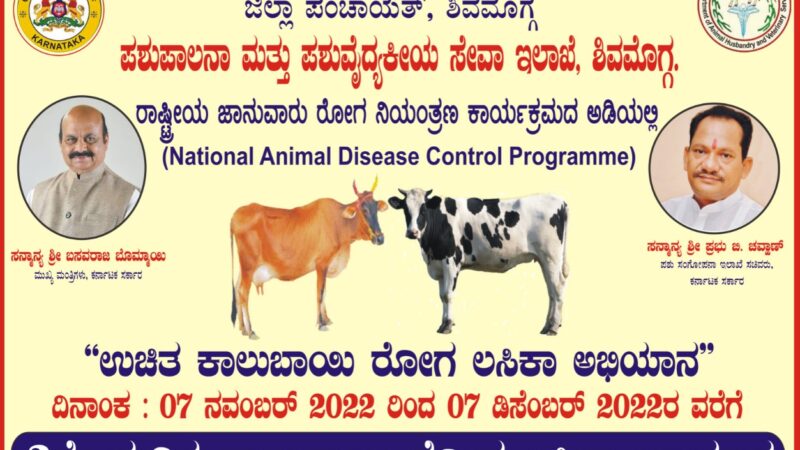 ನವೆಂಬರ್‌ 7 ರಿಂದ ಶಿವಮೊಗ್ಗ ಜಿಲ್ಲಾದ್ಯಂತ ಉಚಿತ ಕಾಲುಬಾಯಿ ರೋಗ ಲಸಿಕಾ ಅಭಿಯಾನ