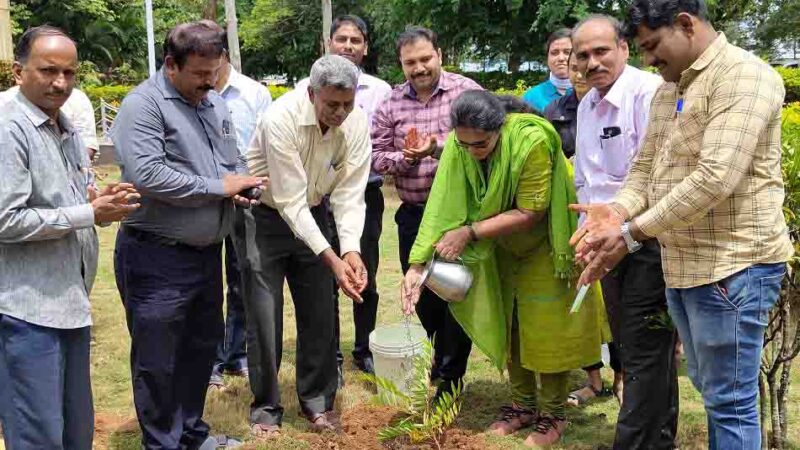 ಜೆ ಎನ್ ಎನ್ ಸಿ ಇ ಕಾಲೇಜಿನಲ್ಲಿ ವಿಶ್ವ ಜೈವಿಕ ಇಂಧನ ದಿನಾಚರಣೆ